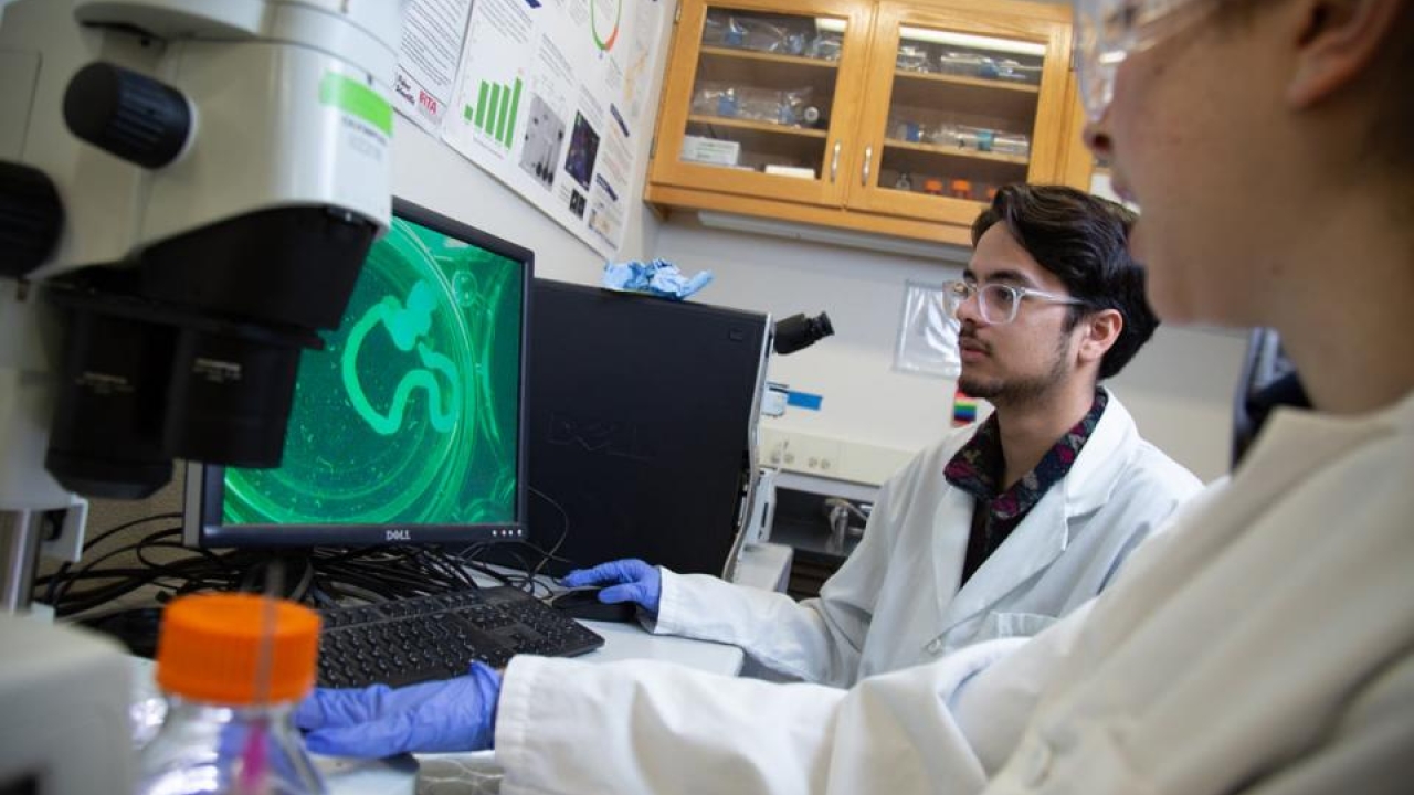 AvenueB leads to labs like this one in the College-of-Biological-Sciences. Students in lab