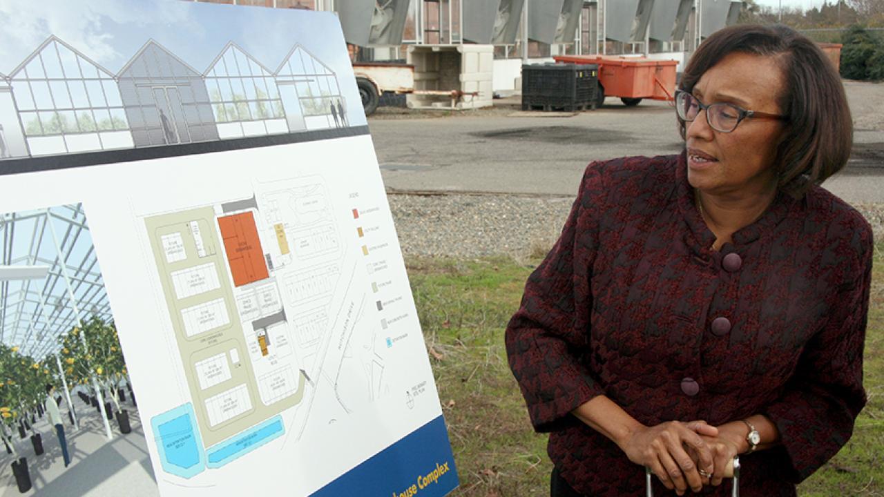 Dean Helene Dillard looking at artist rendering of new facility