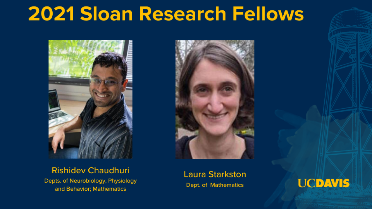 2021 Sloan Fellowship Awardees