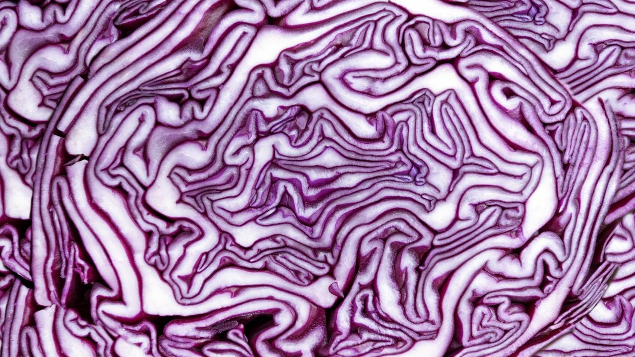 A close-up shot of red cabbage