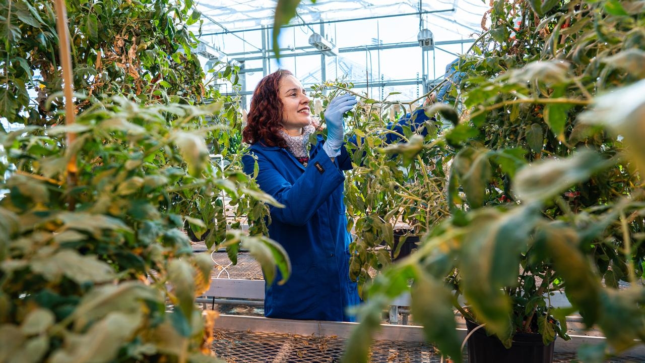 Plant Biologist Siobhan Brady