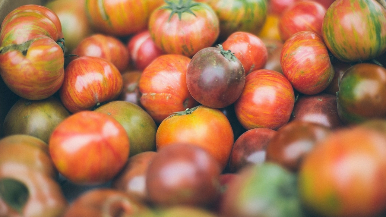 Pile of tomatoes