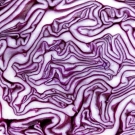 A close-up shot of red cabbage