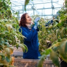 Plant Biologist Siobhan Brady